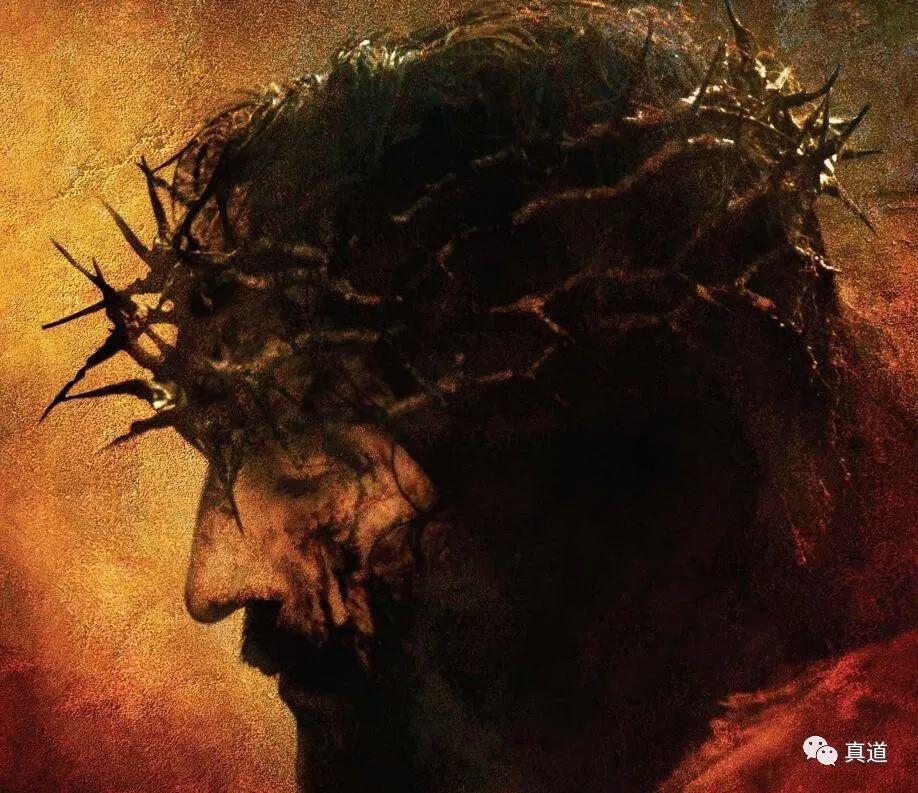 wxsync 17729710175ca2028ec26901554121358