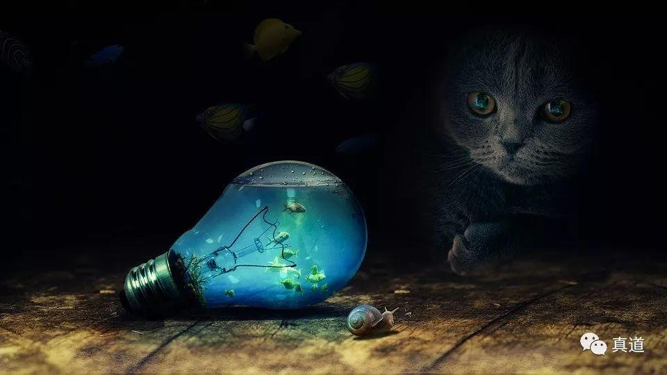 新天地邪教受害者:留学生异国历险记 3 wxsync 6149057165caf0193f39401554973075