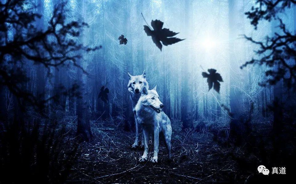 wxsync 2020 04 250f62a0e36ae0bc749abf196b109f2c